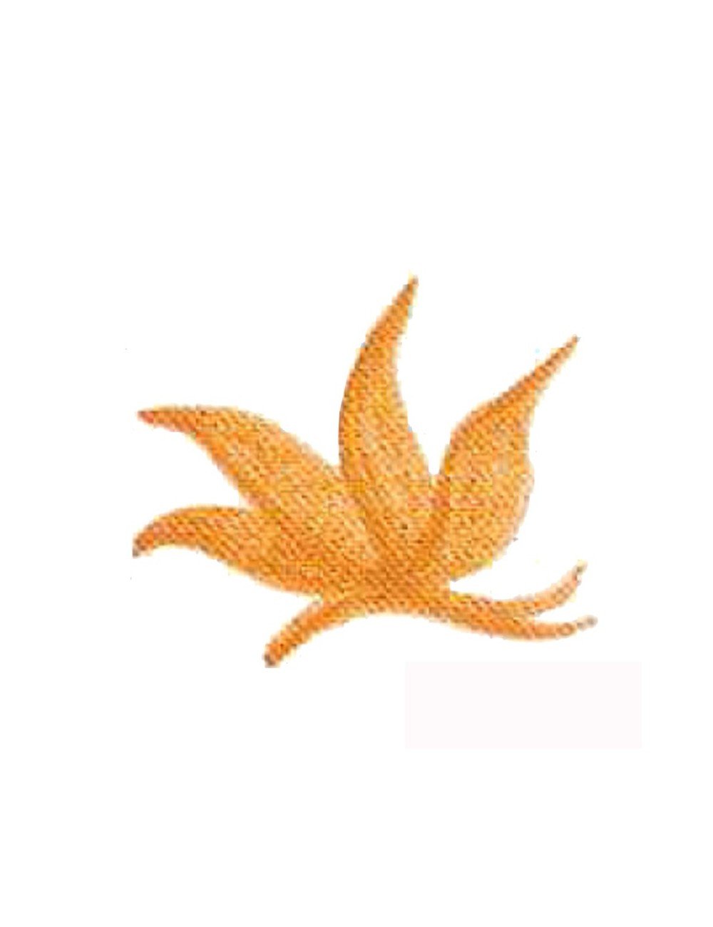 COLORANT Série "D" OCRE JAUNE FONCÉ D01