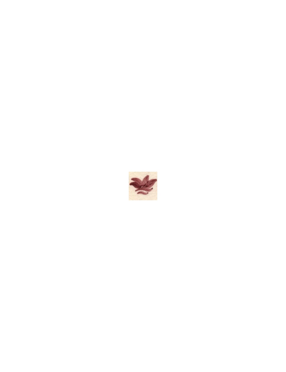 COLORANT Série "D" ROSE D07