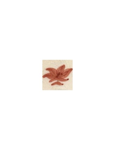 COLORANT Série "D" ROSE SAUMON D92
