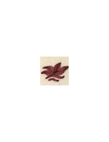 COLORANT Série "D" ROUGE BORDEAUX D102