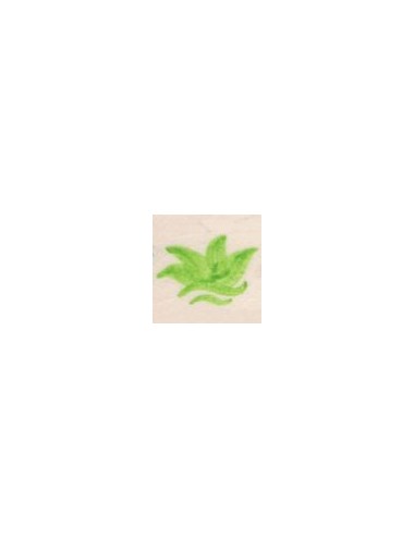 COLORANT Série "D" VERT VICTORIA D95