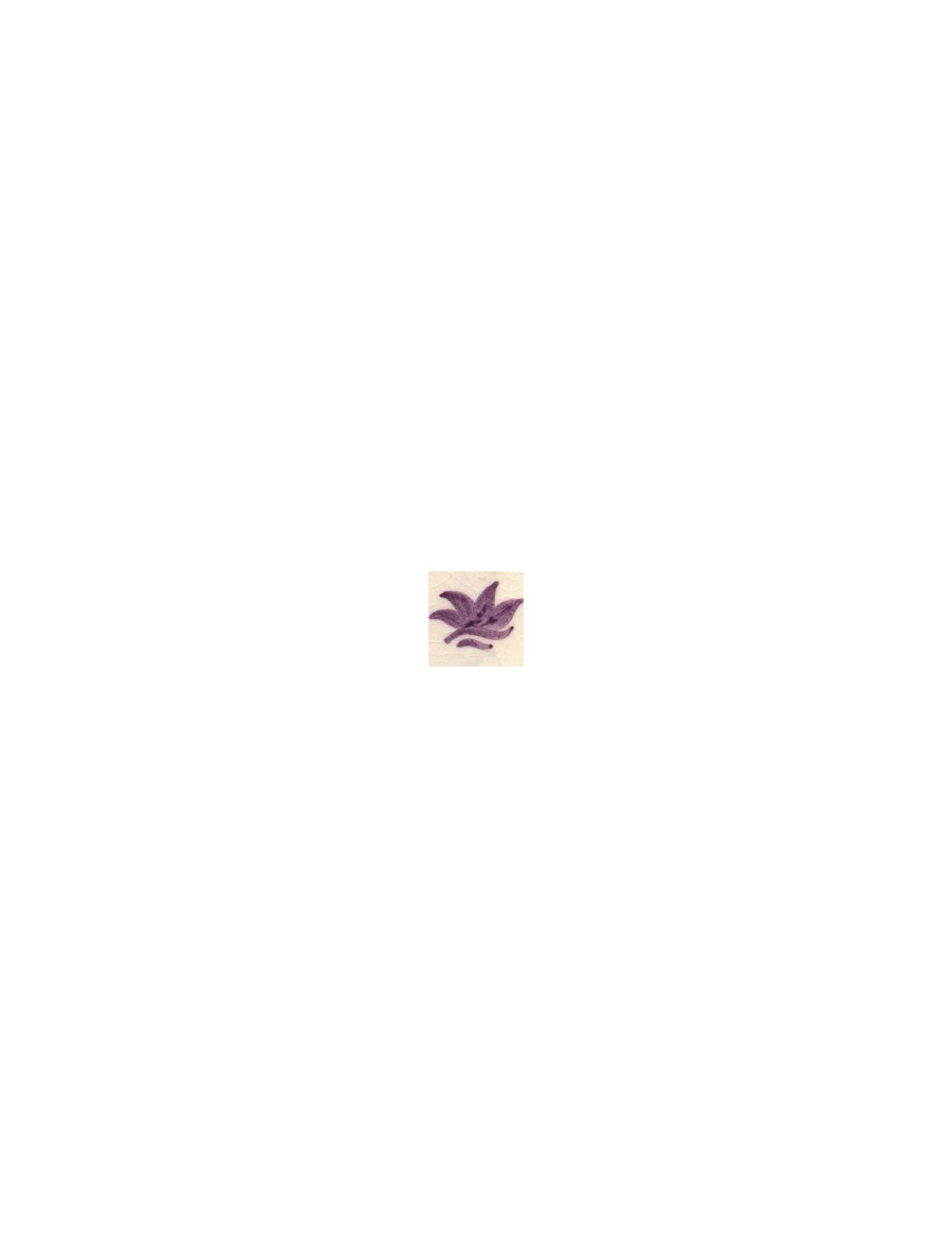 COLORANT Série "D" VIOLET D10