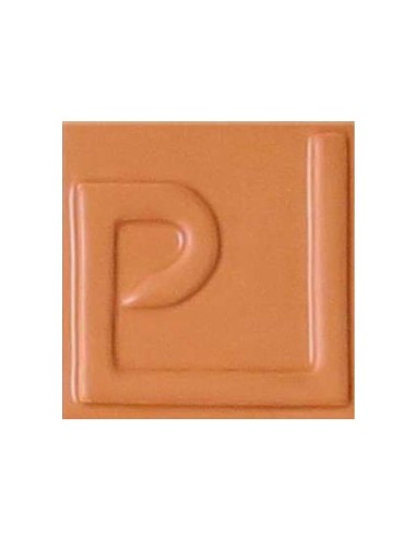ÉMAIL FAÏENCE OPAQUE SANS PLOMB MAT CAMEL 1KG EMSP05LL